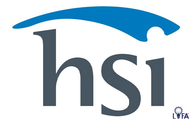 microlearning software: hsi